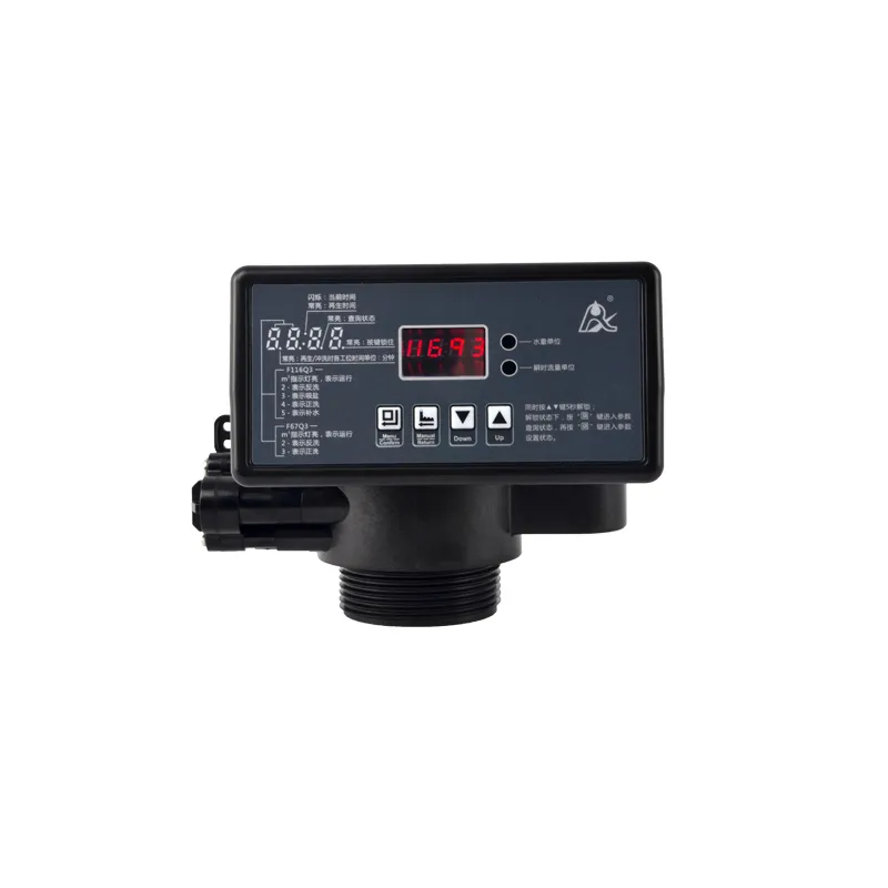Automatic Softener Valve F116Q1 (3).webp